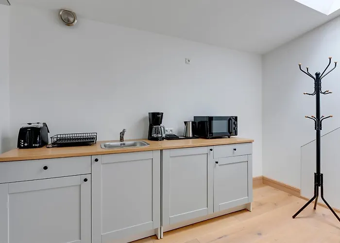 Historical Townhouse By Blue Mandarin 公寓 格但斯克