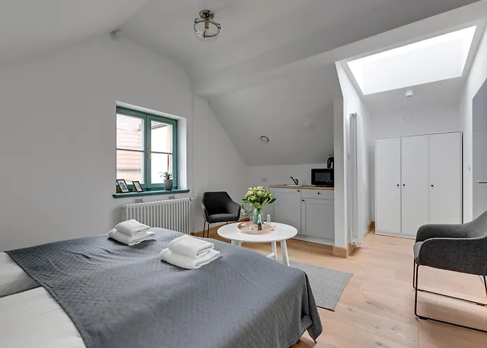 公寓 Historical Townhouse By Blue Mandarin 格但斯克